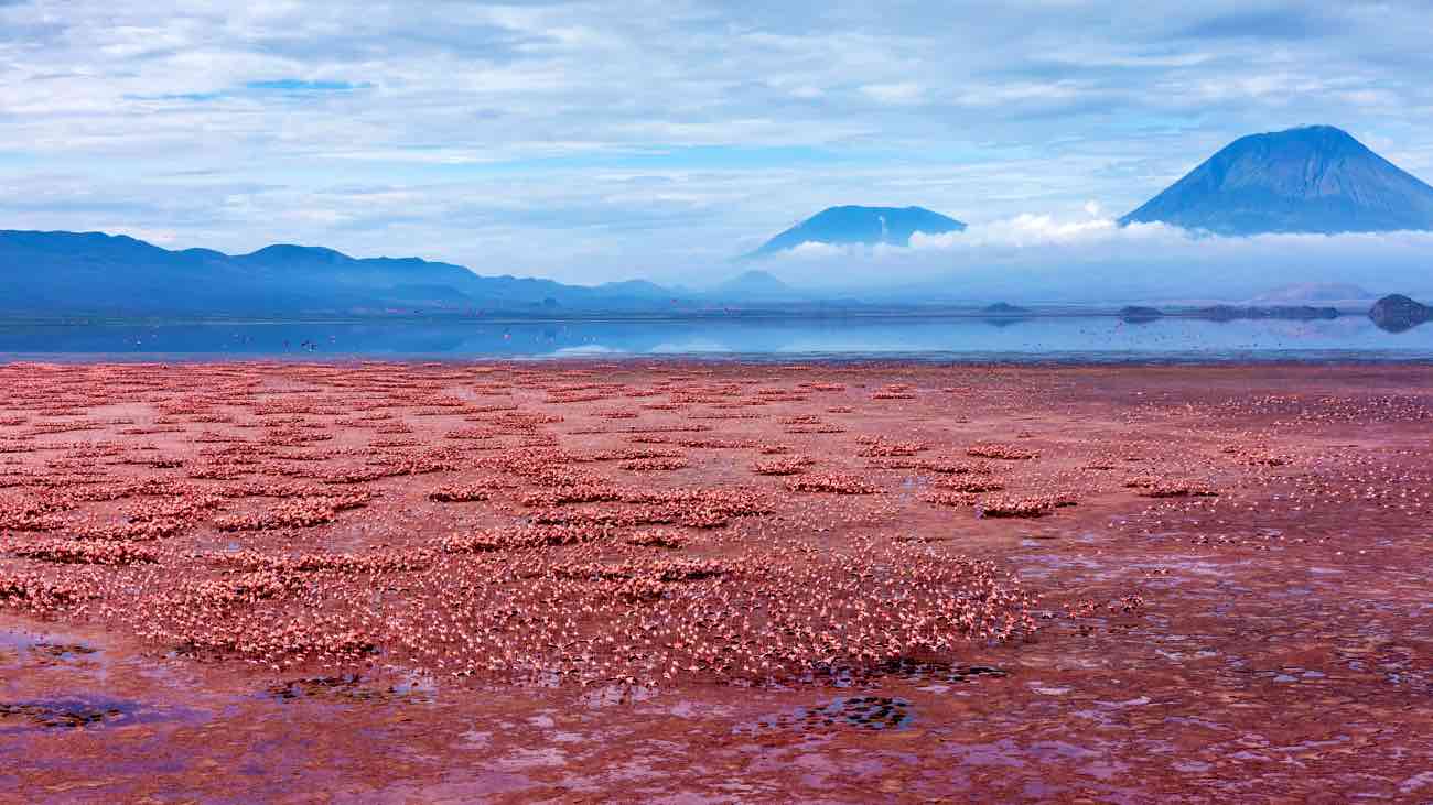 Il lago Natron